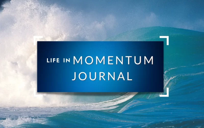 Live In Momentum Journal