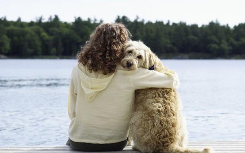 How Having a Dog Changes Your Life for the Better