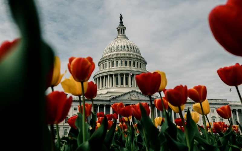 The Second Era of Trump Begins